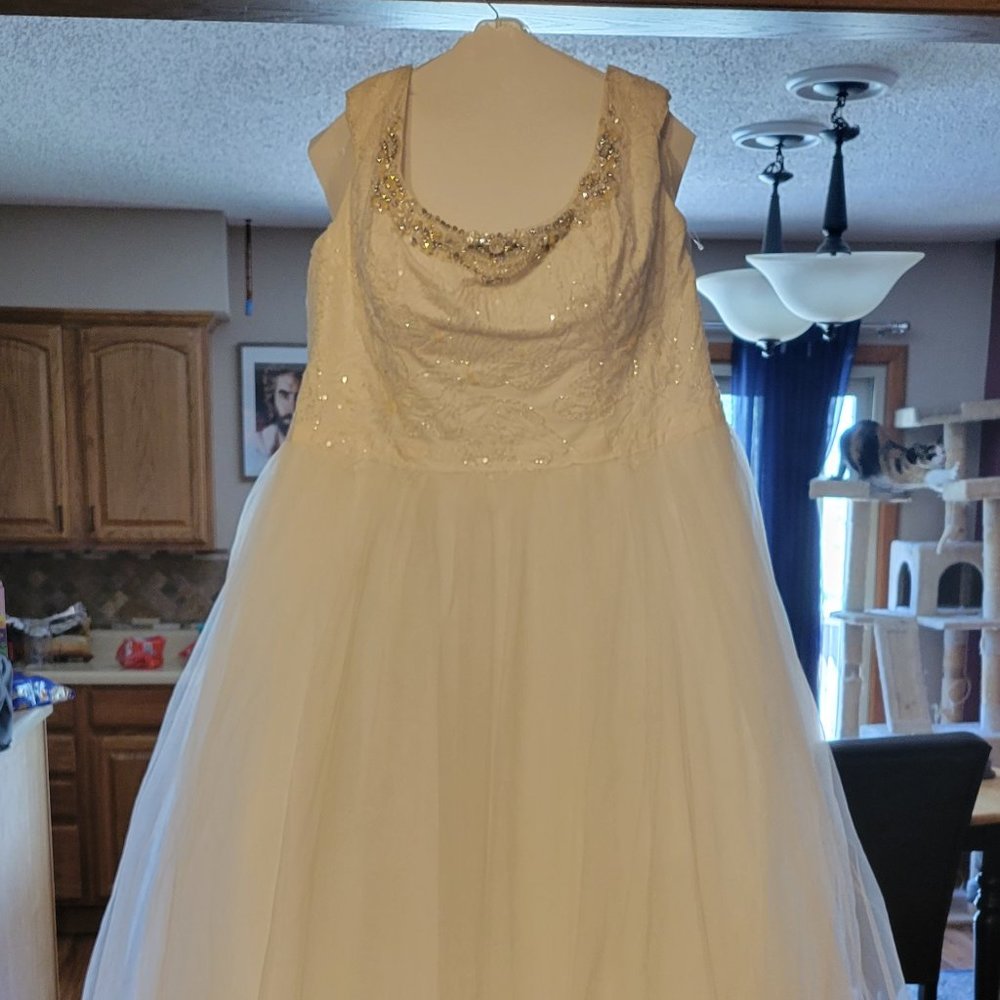 Brand New Plus Size Wedding Dress
